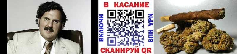 A PVP Камышлов