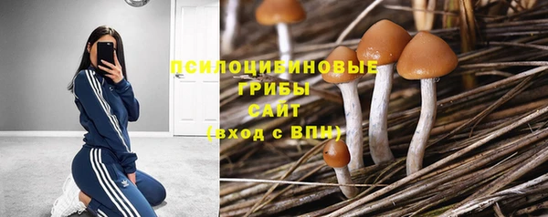 a pvp Волосово