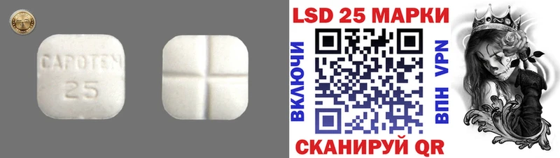 как найти закладки  Камышлов  ЛСД экстази ecstasy 